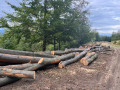 img-20260917-wa0021.jpg