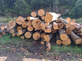 img-20260922-wa0033.jpg