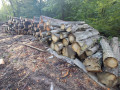 img-20260922-wa0029.jpg