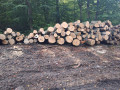 img-20260922-wa0032.jpg