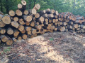 img-20260922-wa0030.jpg