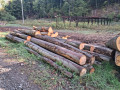 img-20260922-wa0036.jpg
