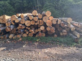 img-20260922-wa0034.jpg