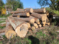 img-20260925-wa0001.jpg