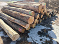 img-20260925-wa0000.jpg