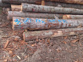 img-20260924-wa0016.jpg