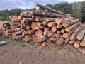 img-20260924-wa0018.jpg