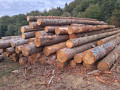 img-20260924-wa0010.jpg