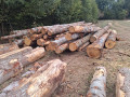 img-20260924-wa0008.jpg