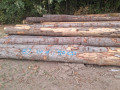 img-20260924-wa0006.jpg