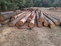 img-20260924-wa0013.jpg