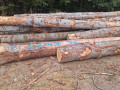 img-20260924-wa0011.jpg