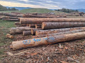 img-20260924-wa0009.jpg