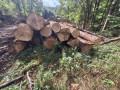 img-20260923-wa0066.jpg