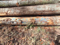 img-20260923-wa0064.jpg