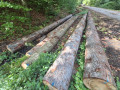 img-20260923-wa0050.jpg