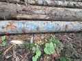 img-20260923-wa0060.jpg