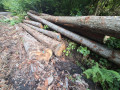 img-20260923-wa0061.jpg