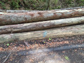img-20260923-wa0051.jpg