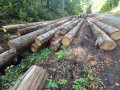 img-20260923-wa0057.jpg