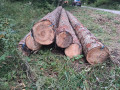 img-20260923-wa0040.jpg