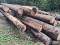 img-20260923-wa0048.jpg