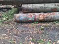 img-20260923-wa0043.jpg