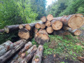 img-20260923-wa0046.jpg