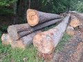 img-20260923-wa0036.jpg