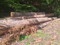 img-20260923-wa0039.jpg