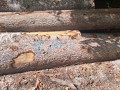 img-20260923-wa0037.jpg