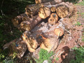 img-20260923-wa0038.jpg