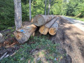 img-20260923-wa0032.jpg