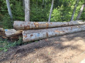 img-20260923-wa0028.jpg