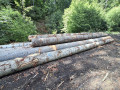 img-20260923-wa0025.jpg