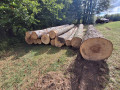 img-20260923-wa0021.jpg