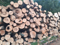 img-20260921-wa0013_1.jpg