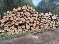 img-20260921-wa0015_1.jpg