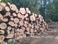 img-20260921-wa0012_1.jpg