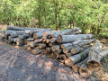 img-20260909-wa0015_1.jpg