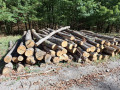 img-20260909-wa0016_1.jpg