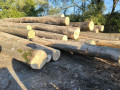 img-20260929-wa0000.jpg