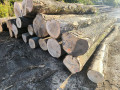 img-20260929-wa0003.jpg