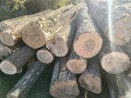 img-20260929-wa0002.jpg