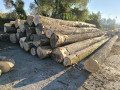 img-20260929-wa0004.jpg