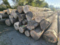 img-20260929-wa0005.jpg