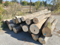img-20261002-wa0001.jpg