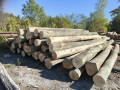 img-20261002-wa0002.jpg