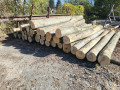 img-20261002-wa0003.jpg