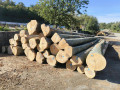 img-20261002-wa0004.jpg